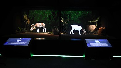 Ankara Dijital Hayvanat Bahçesi